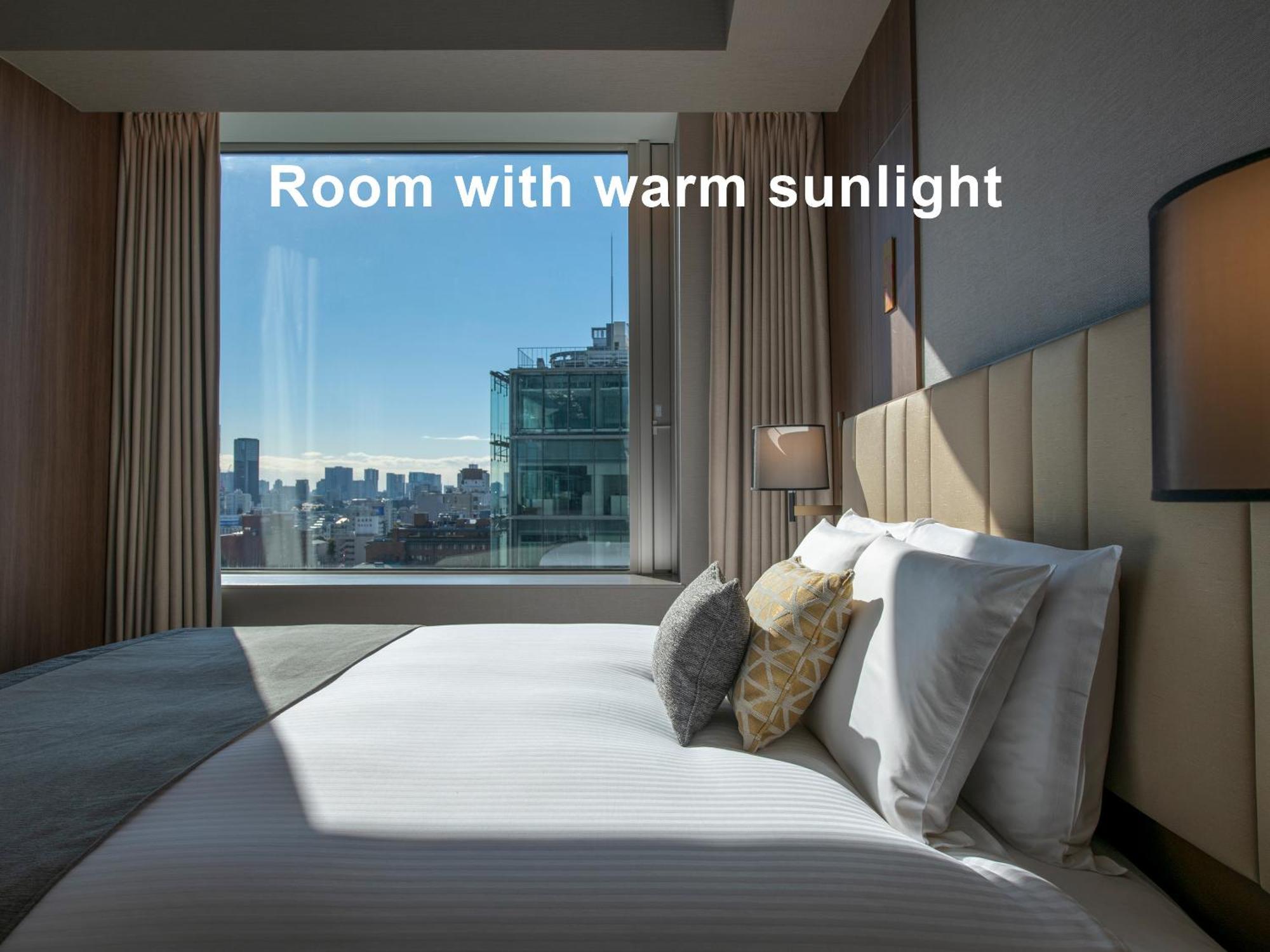 Mitsui Garden Hotel Roppongi Tokyo Premier Eksteriør bilde Room with warm sunlight
